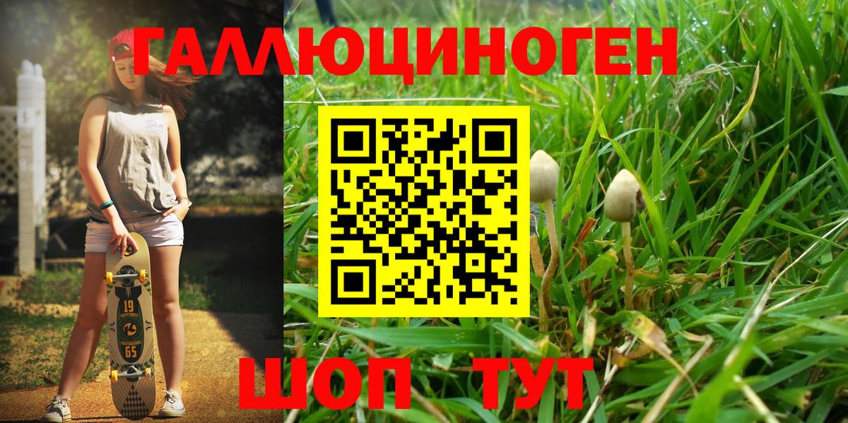 Фрязино  Псилоцибиновые грибы Cubensis  Галлюциногенные грибы GOLDEN TEACHER  Вход с VPN 